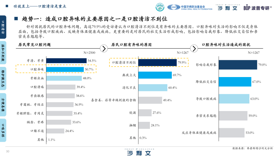 报告页面30