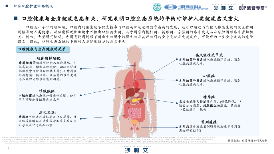 报告页面6