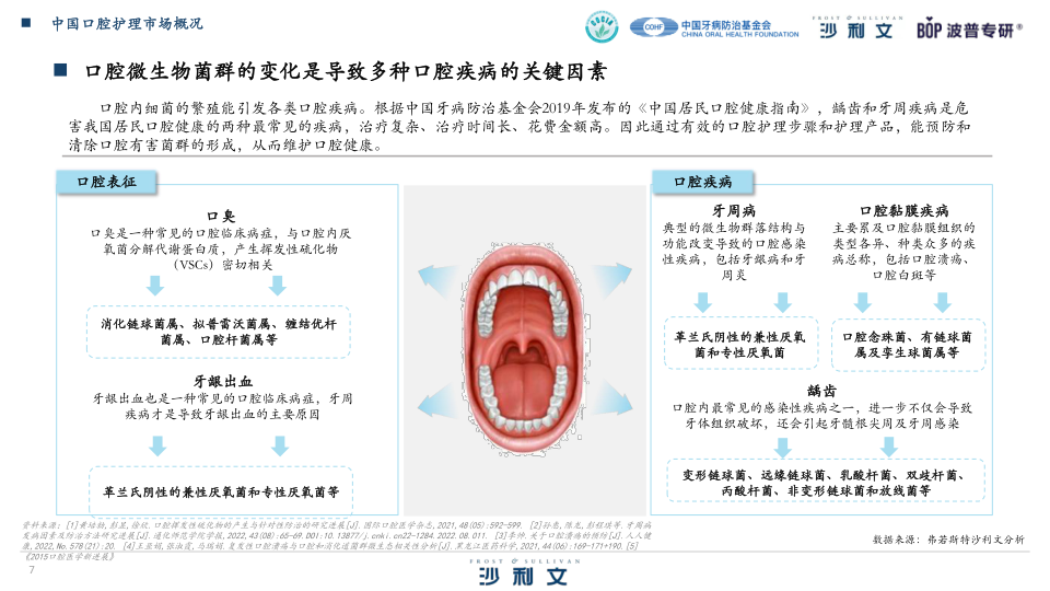 报告页面7