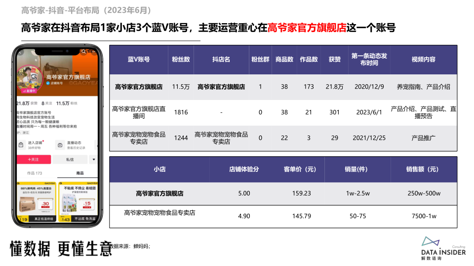 报告页面61