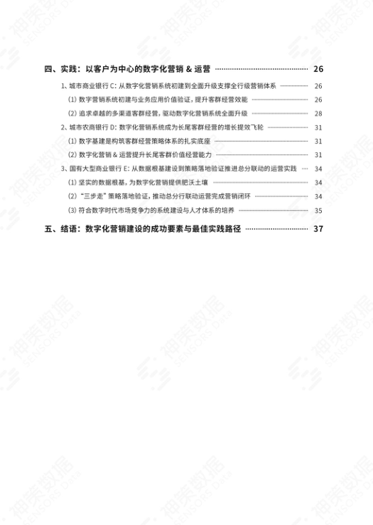 报告页面3