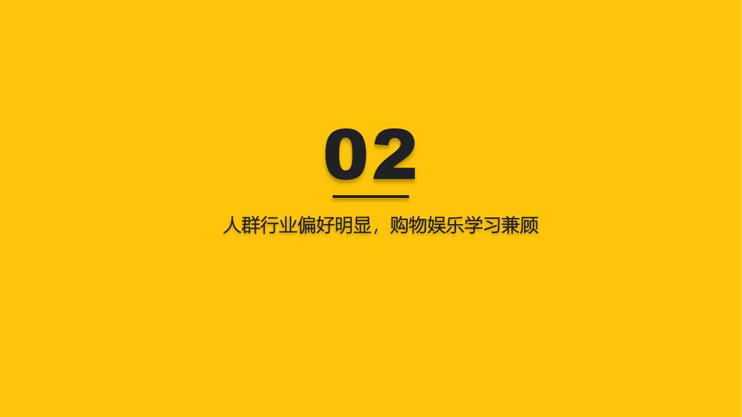 报告页面12