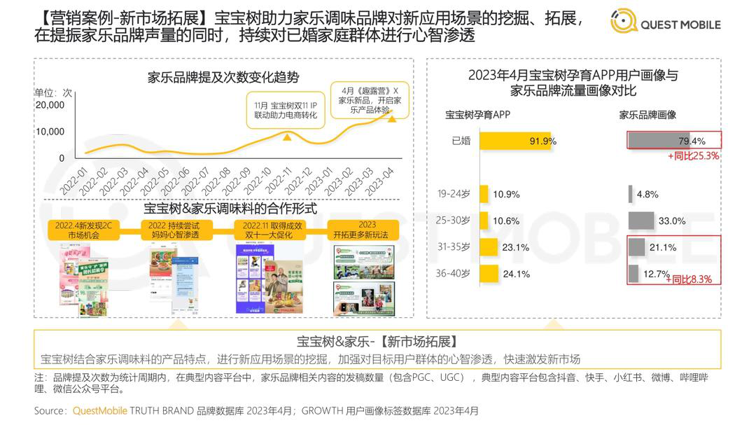 报告页面51