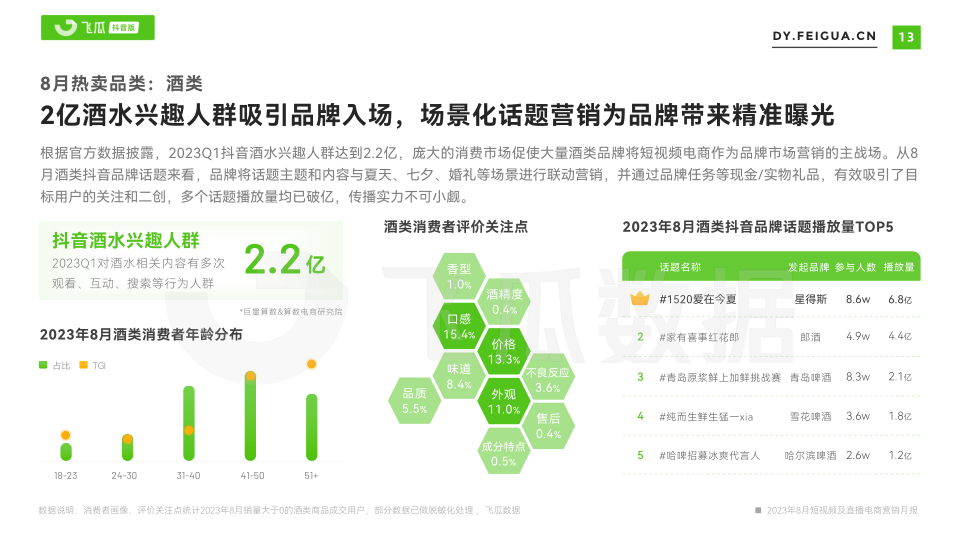 报告页面14