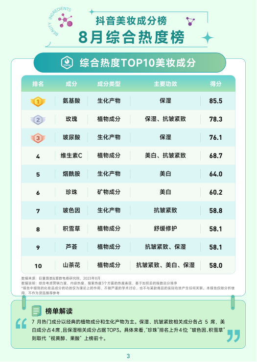 报告页面4