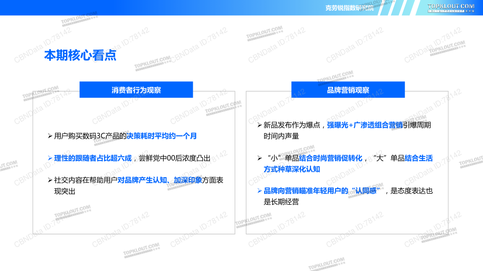 报告页面3