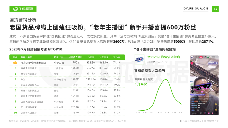 报告页面16