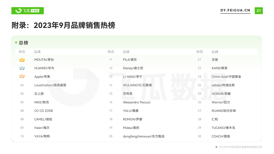 报告页面22