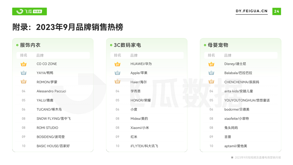 报告页面25