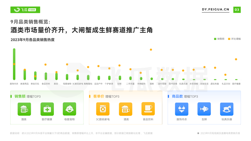 报告页面4