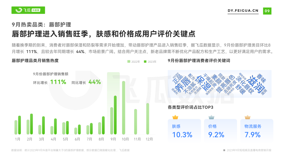 报告页面10