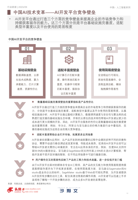 报告页面30