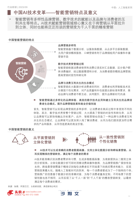 报告页面55