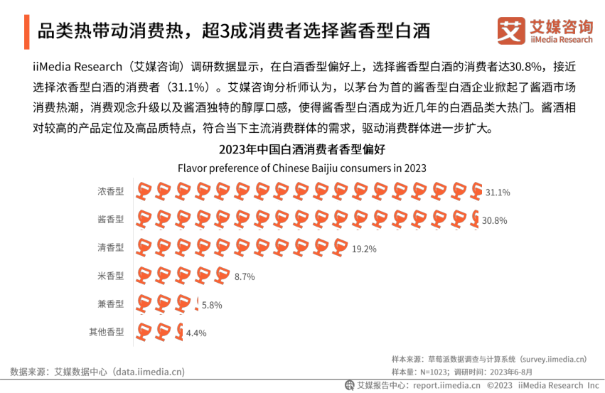 报告页面10