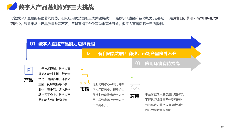 报告页面12