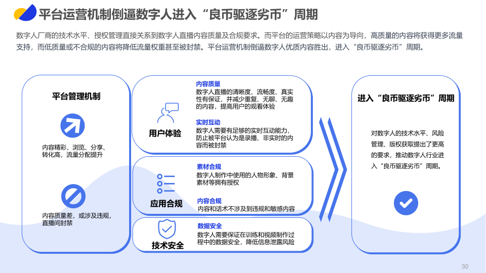 报告页面30