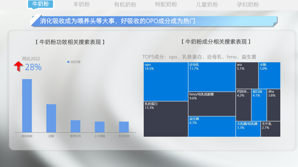 报告页面25