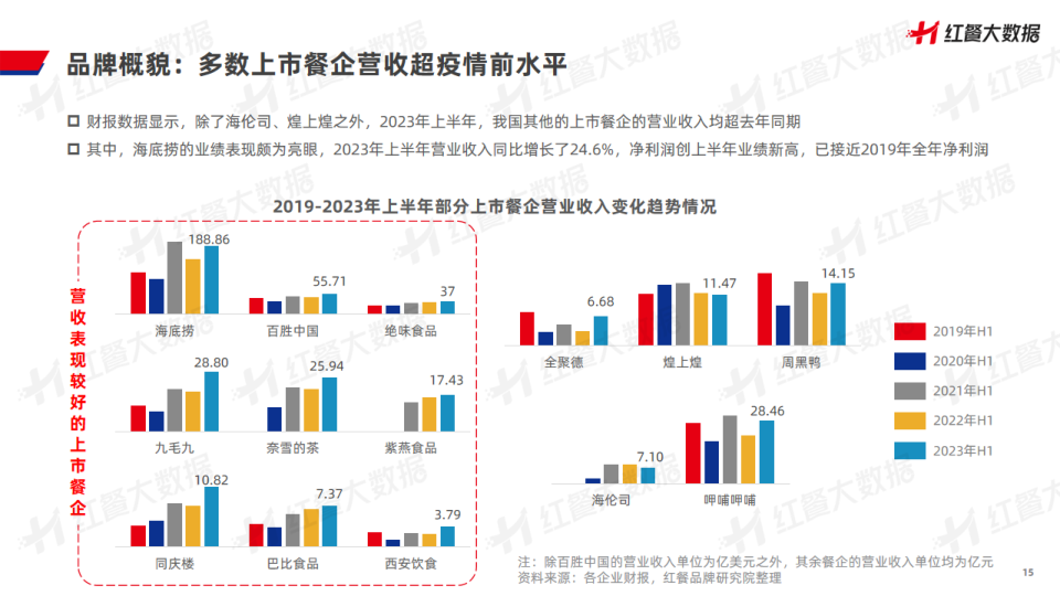 报告页面15