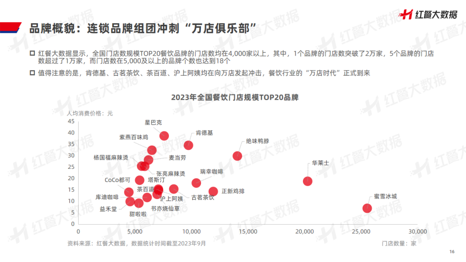 报告页面16