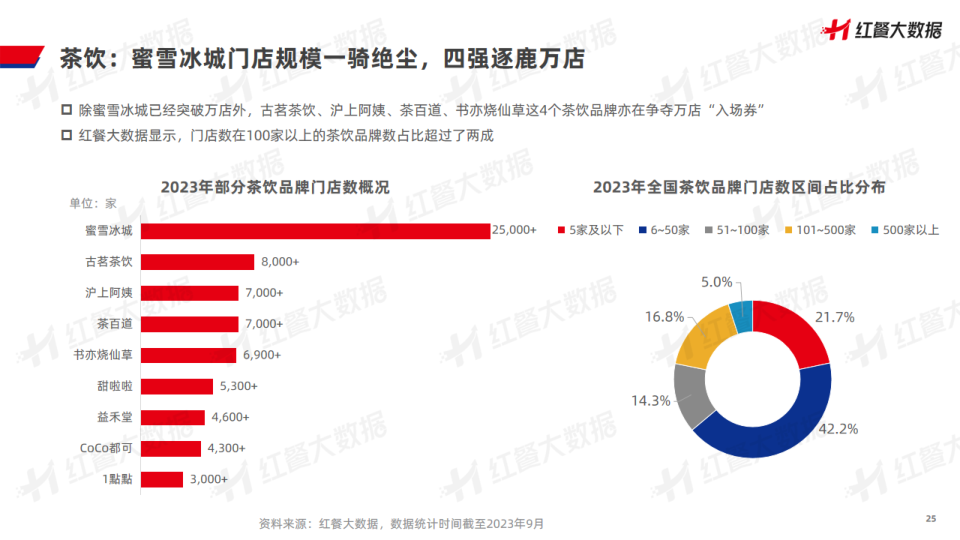 报告页面25