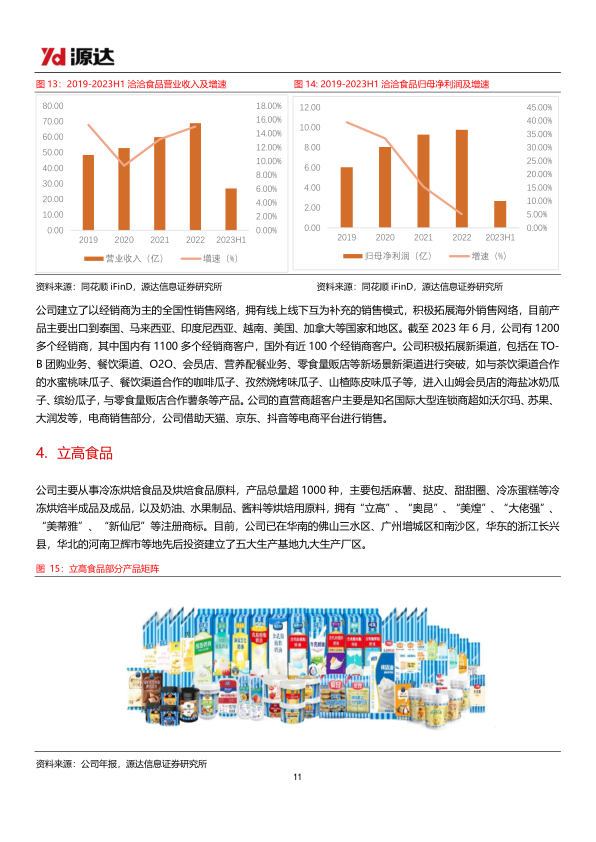 报告页面11