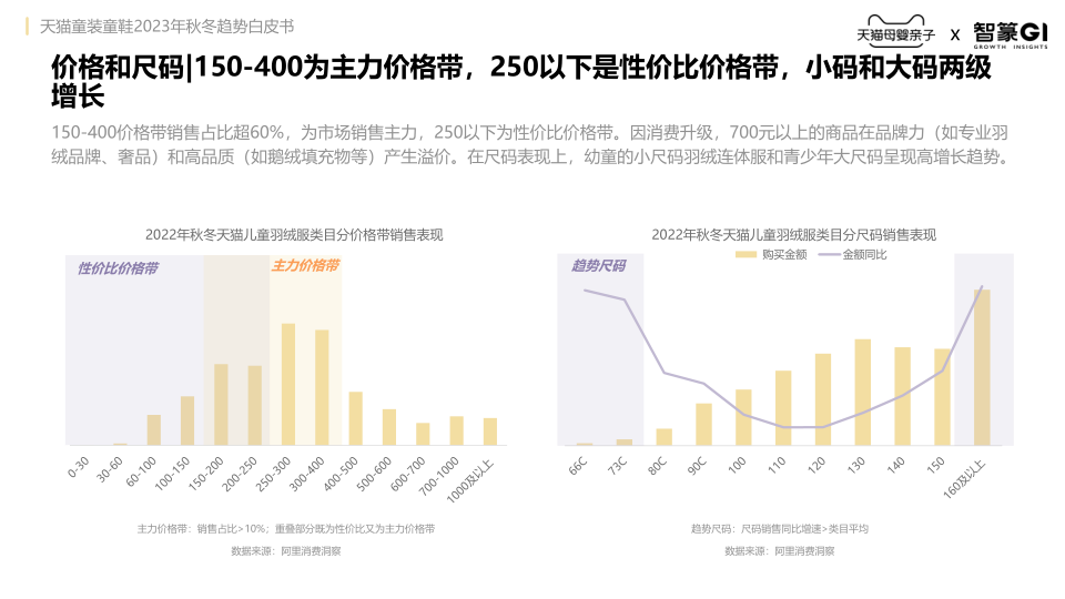 报告页面11