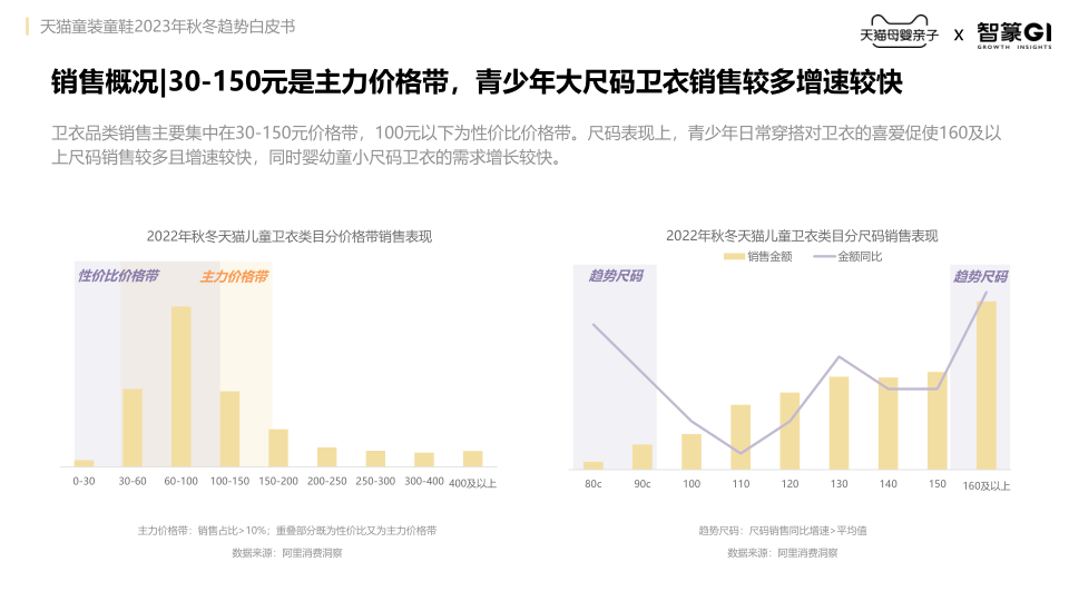 报告页面27