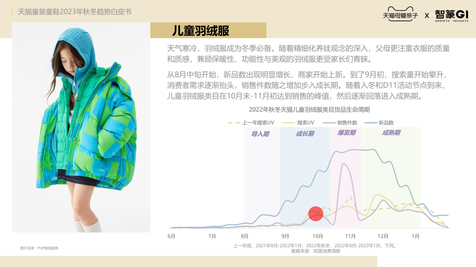 报告页面10