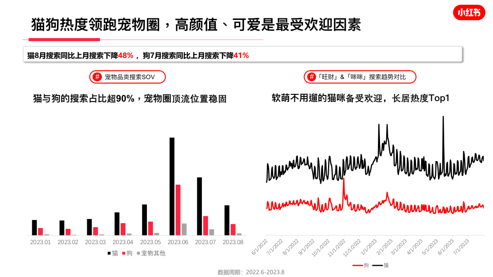 报告页面13