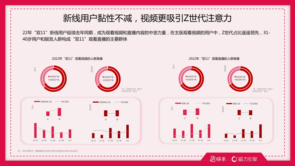 报告页面20