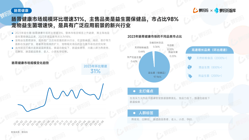 报告页面22