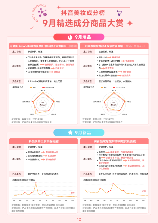 报告页面13