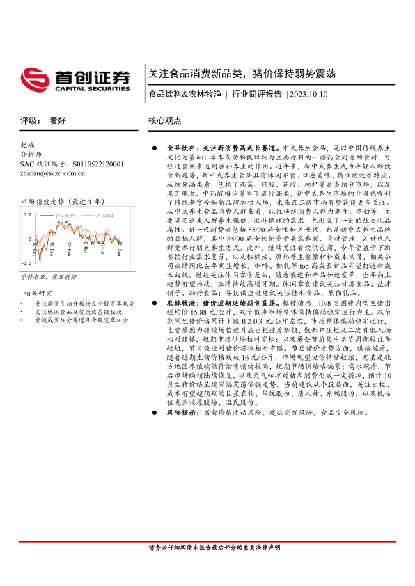 报告页面1