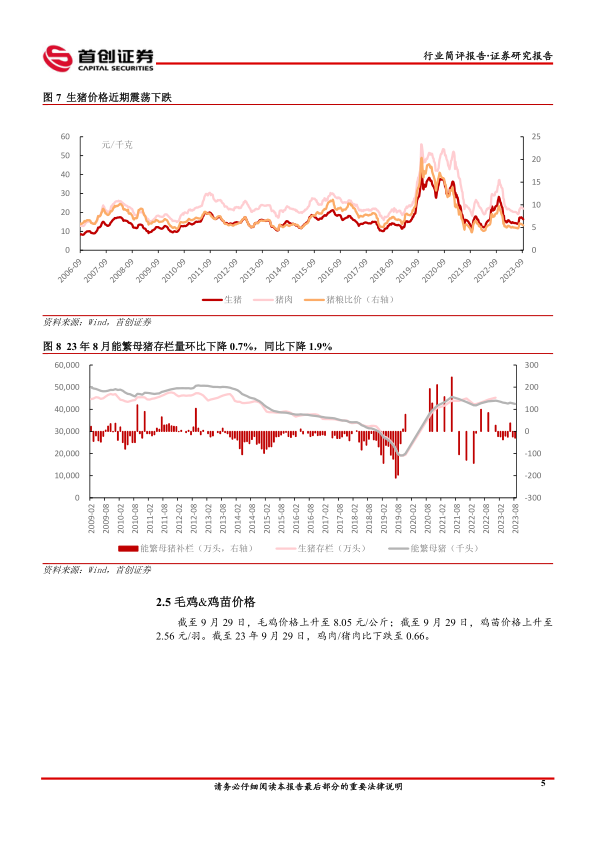 报告页面7