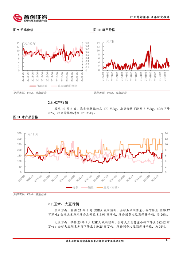 报告页面8