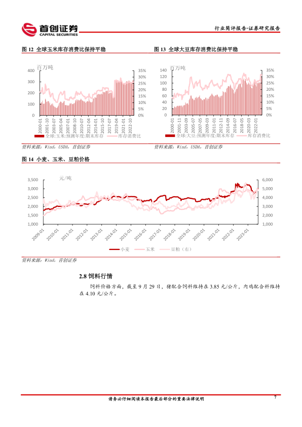 报告页面9