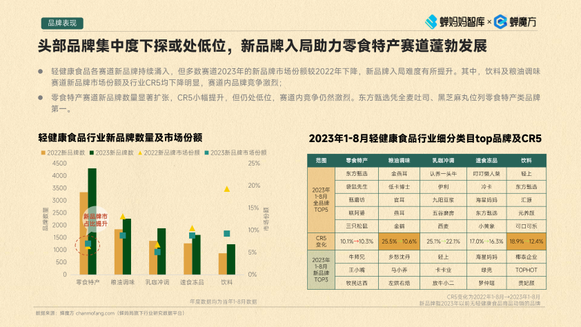 报告页面10