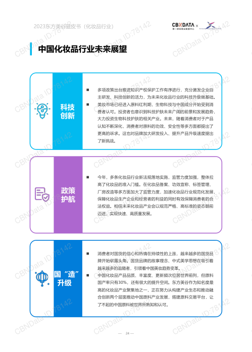 报告页面24