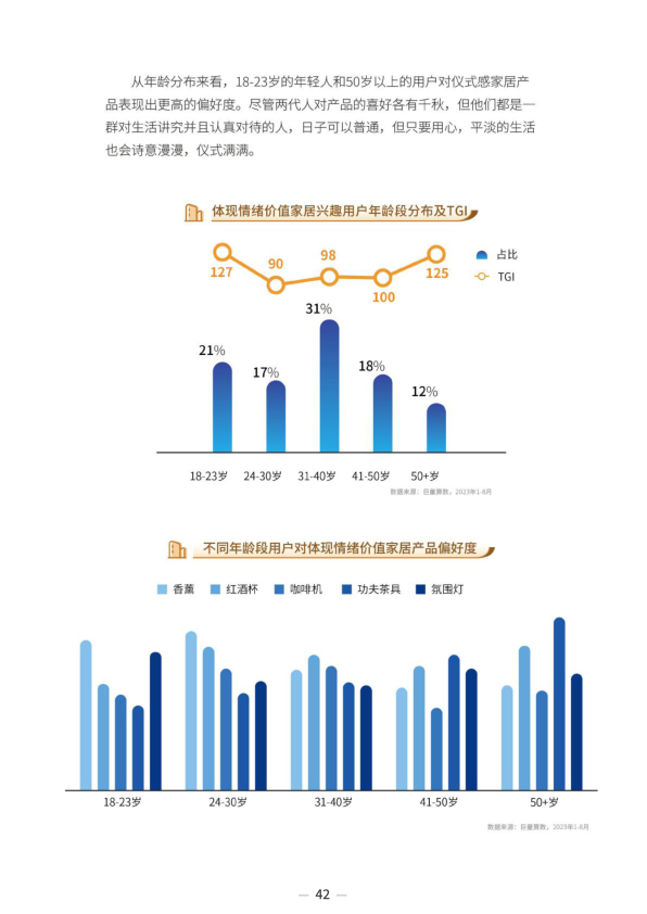 报告页面45