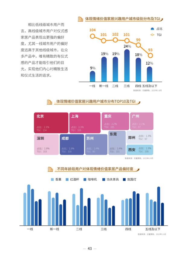 报告页面46