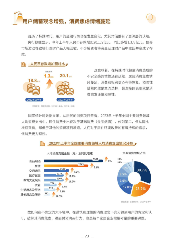 报告页面6