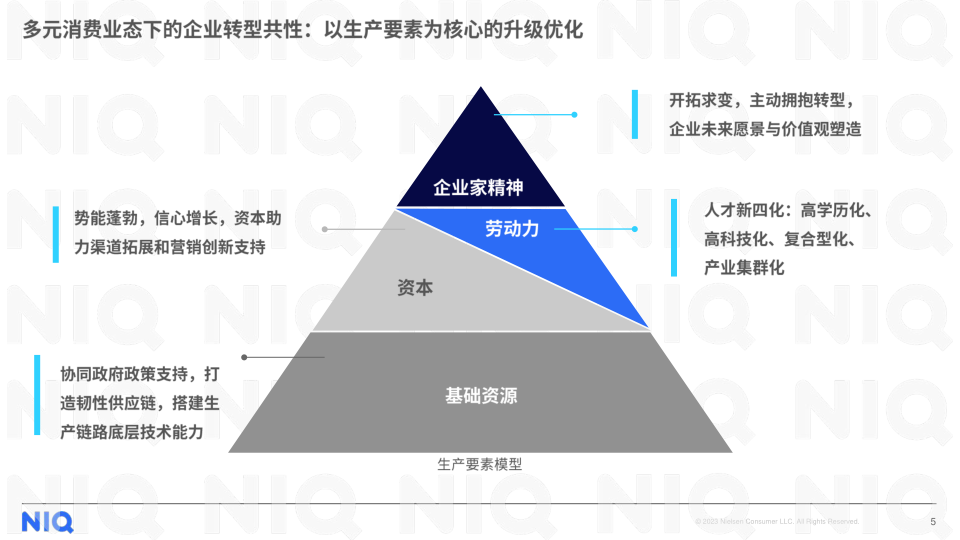 报告页面5