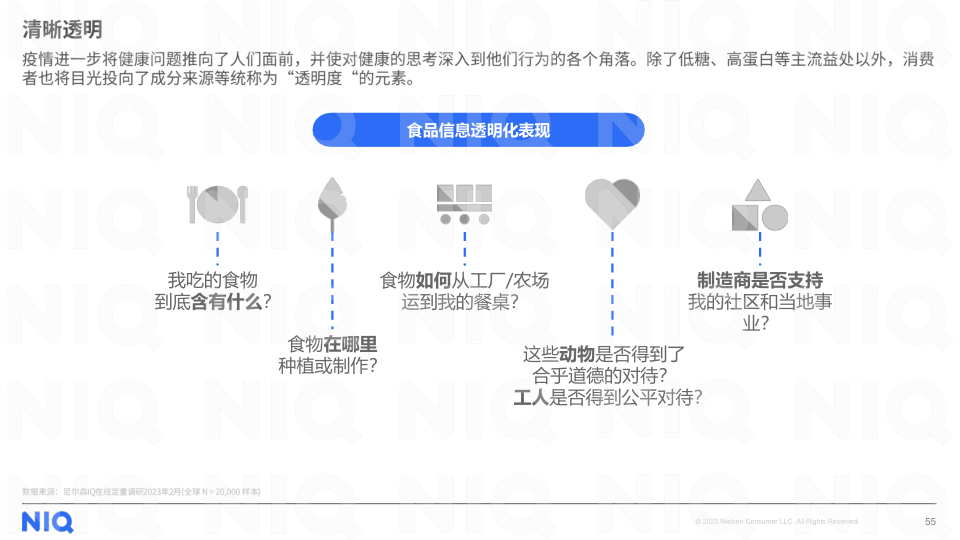 报告页面55