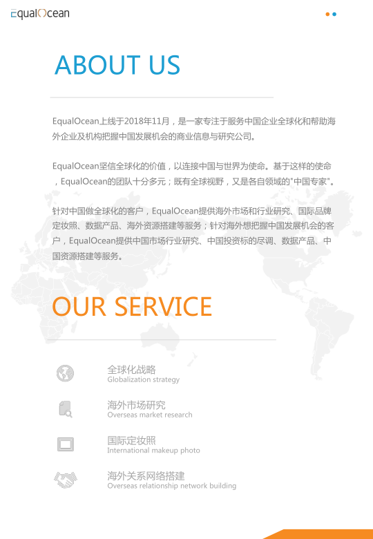 报告页面2