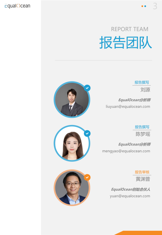 报告页面3
