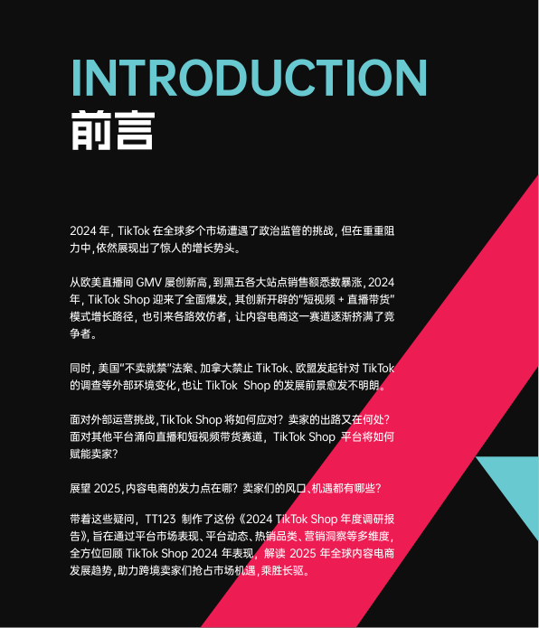 报告页面2