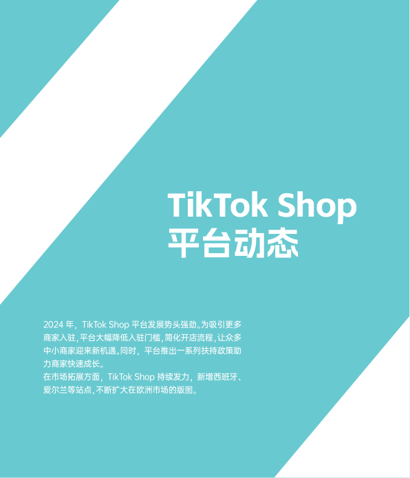 报告页面37