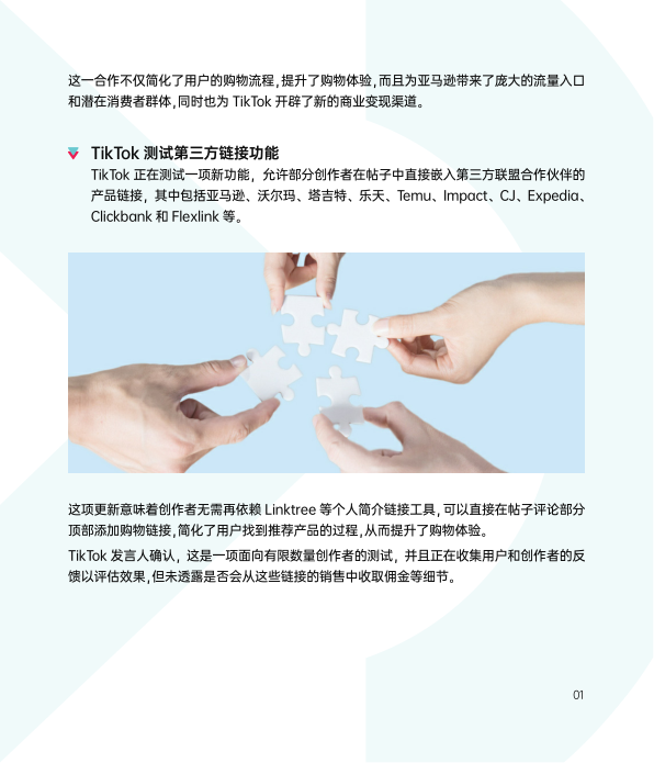 报告页面44