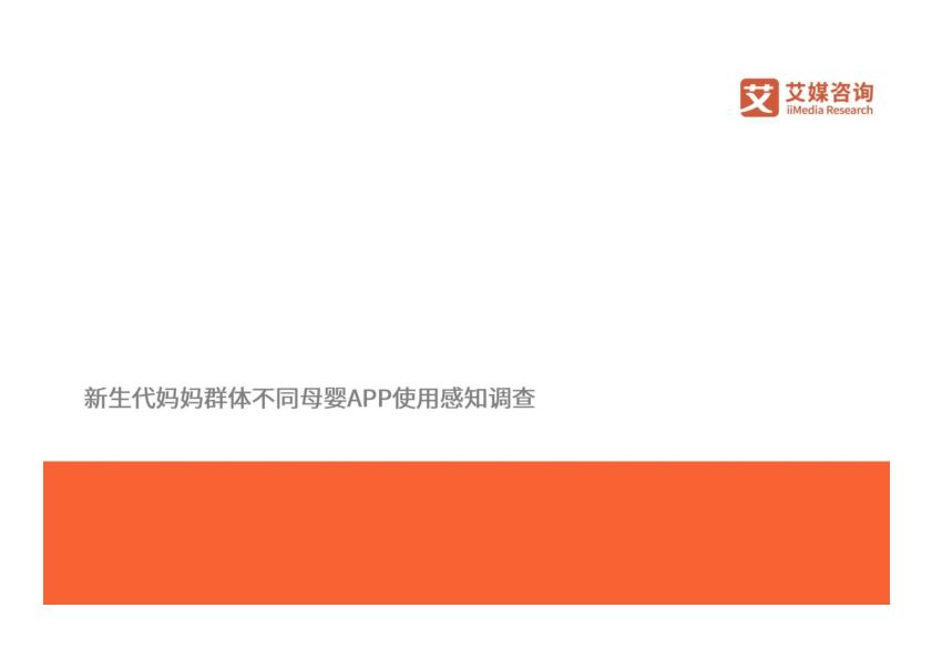 报告页面30