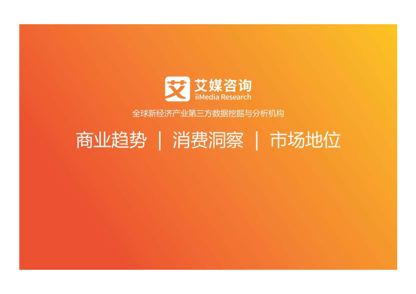 报告页面48